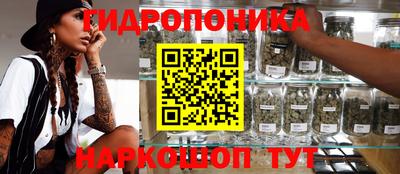 гидра Жуковский